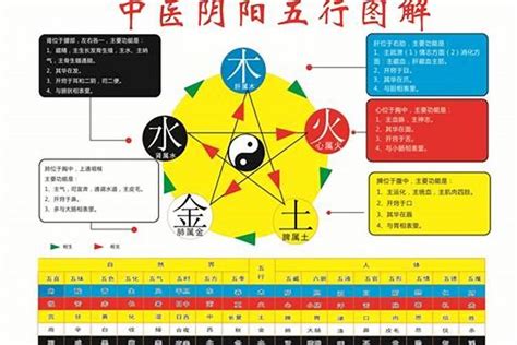 75年次五行|1975年出生的五行属性是什么